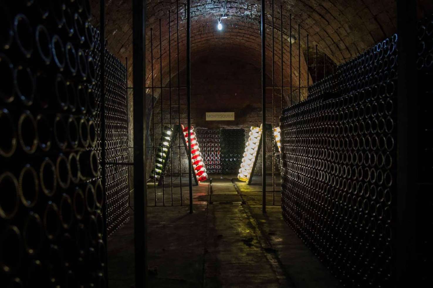 Una experiencia auténtica y libre de químicos; los vinos ecológicos de Naturalovers Wine