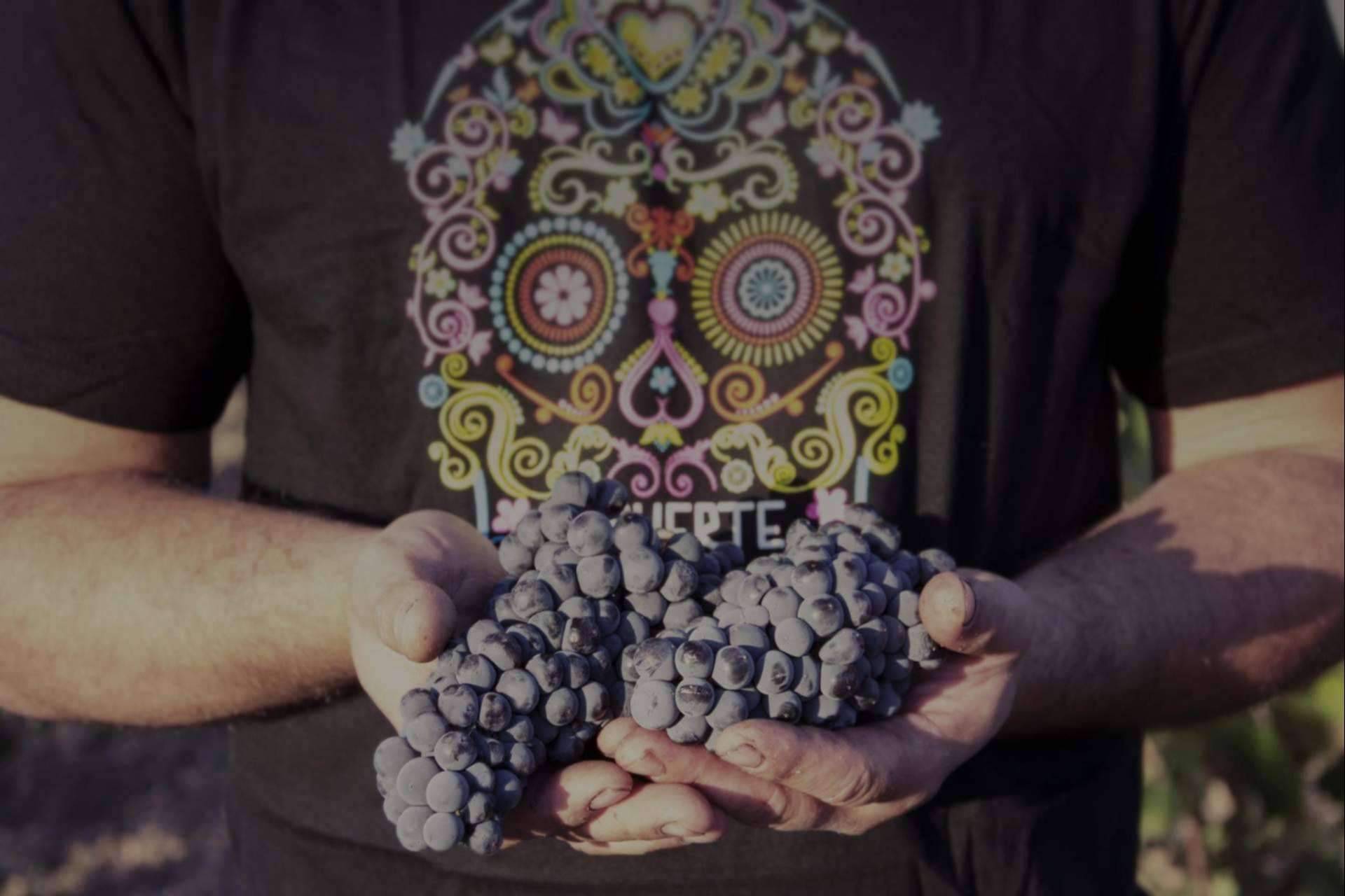 La uva Monastrell, la joya enológica de los vinos de DEMUERTE WINES