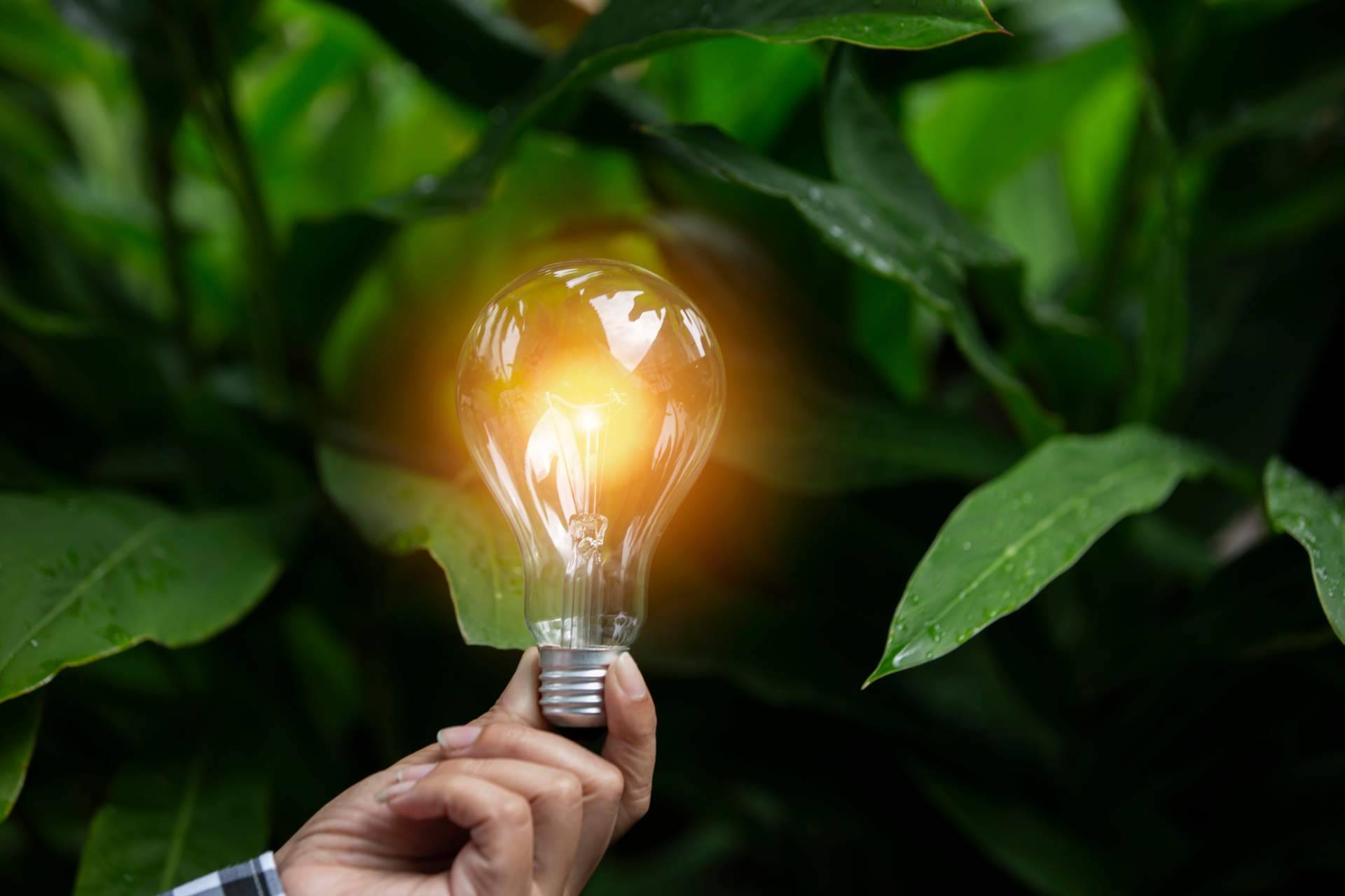 Hacia un futuro sostenible con Multienergía Verde