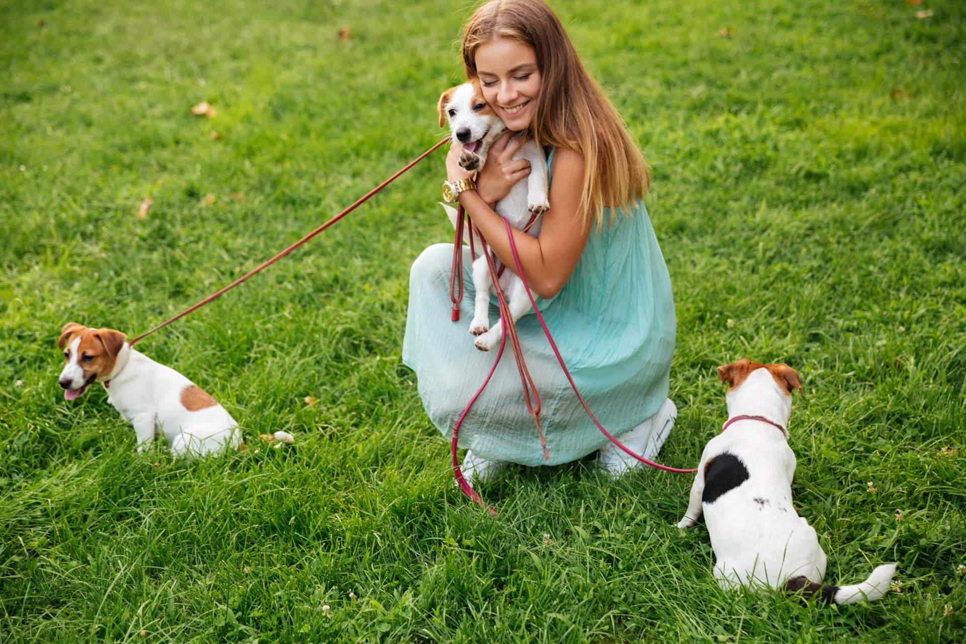 Más de 20.000 usuarios se han unido a Social Animals, el Tinder de las mascotas