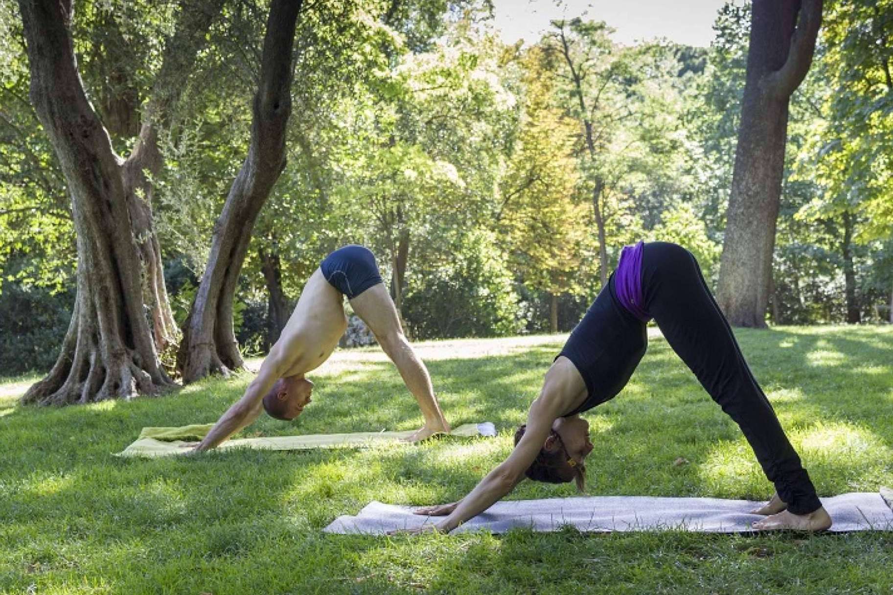 Clases de yoga en Bilbao para la salud y el bienestar