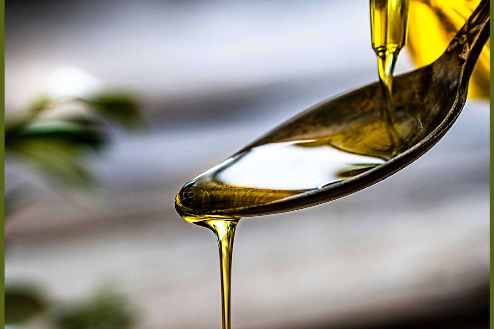Olipaterna, la tienda online de aceite de oliva extra virgen