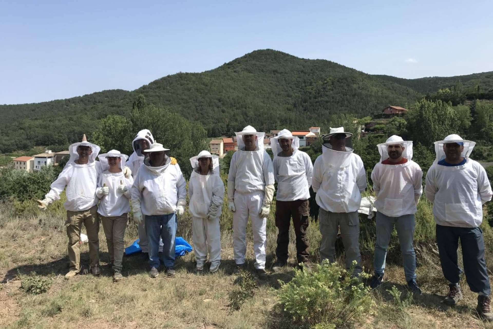 Cursos Apicultura ofrece adentrarse en el mundo de las abejas con sus distintas formaciones