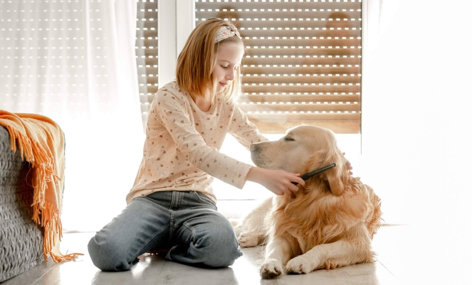 El cepillo ideal para cuidar de las mascotas, Pinkbrush Cardador Profesional, con 4 Huellas