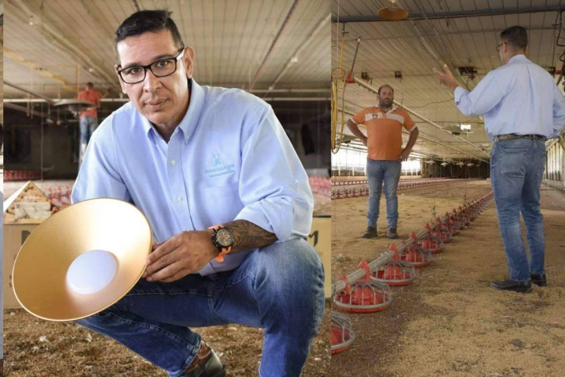 ¿Cómo optimizar la producción avícola? AméricaAgro y su asesoría de vanguardia