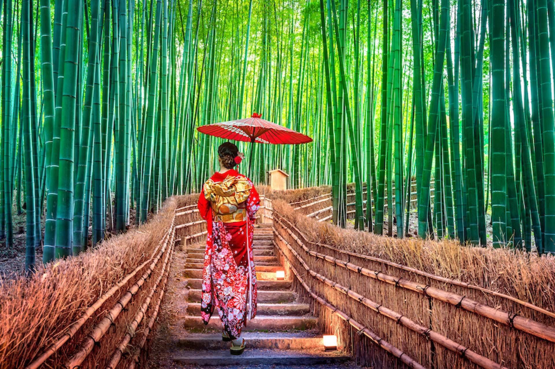 Viajes a Japón a súper precios de la mano de Viaxes Low Cost