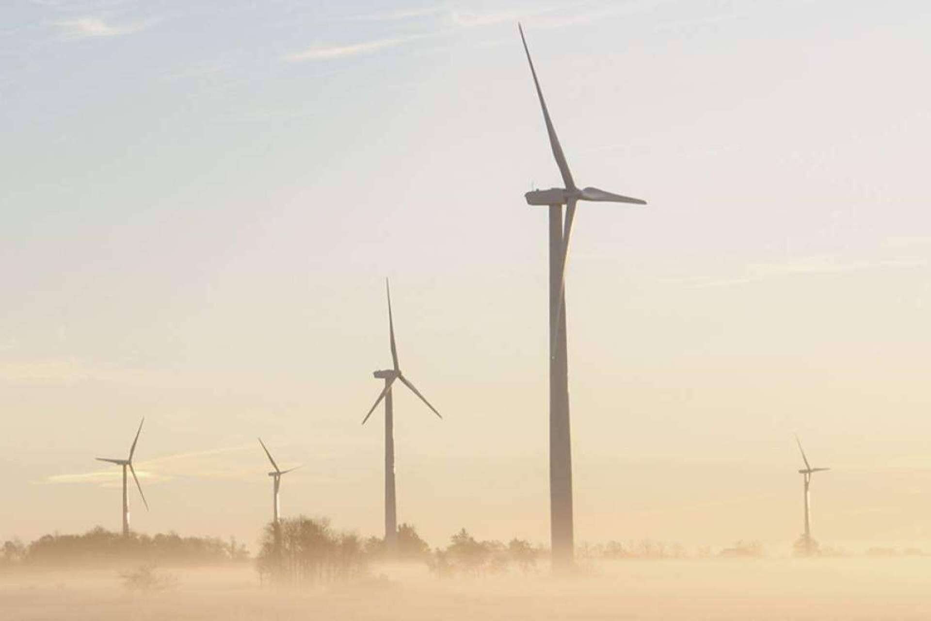 Dcycle, la plataforma diseñada para comunicar el impacto ambiental de las pymes