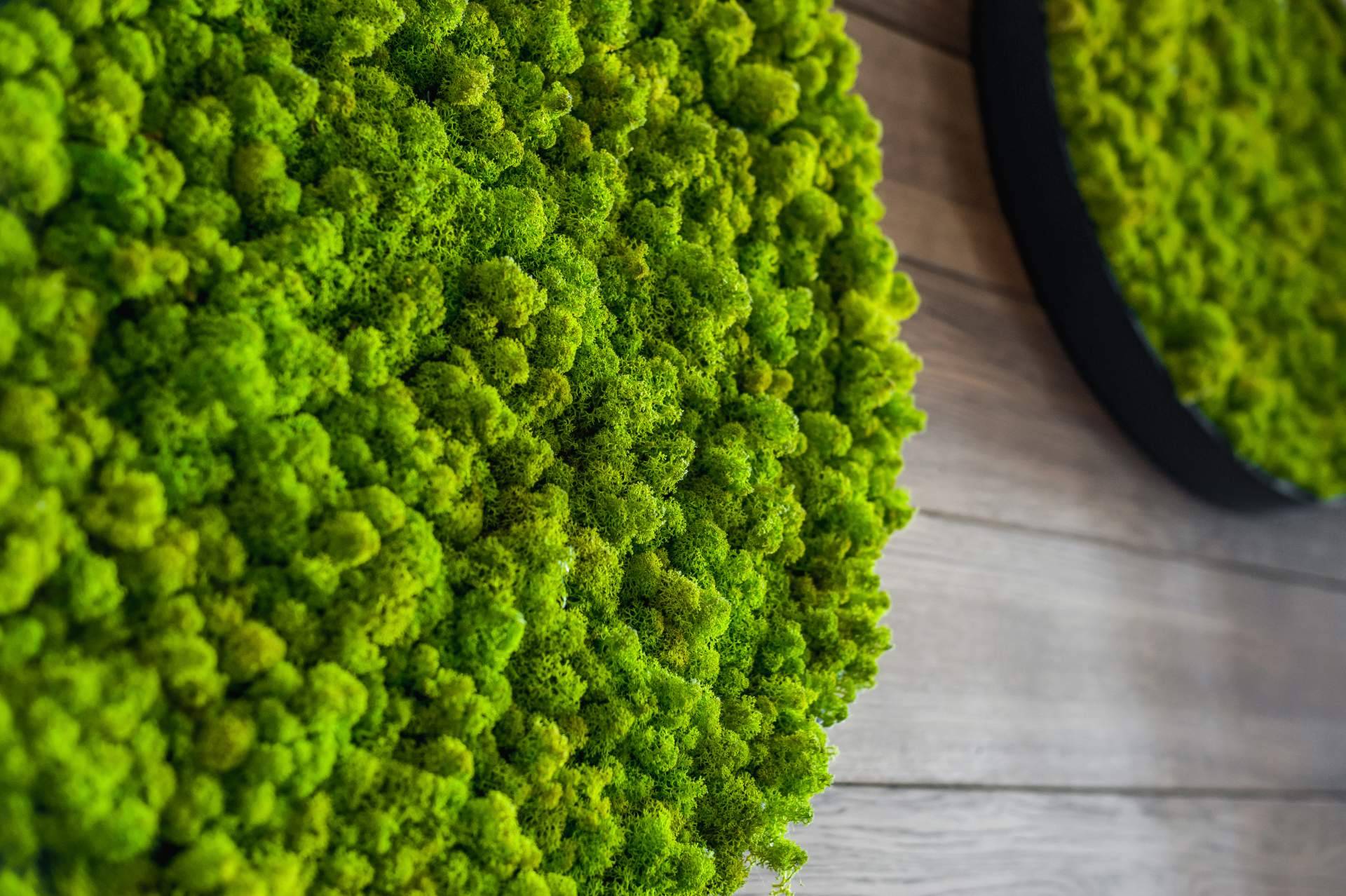 El musgo artificial se convierte en uno de los productos estrella en JardínVertical.es