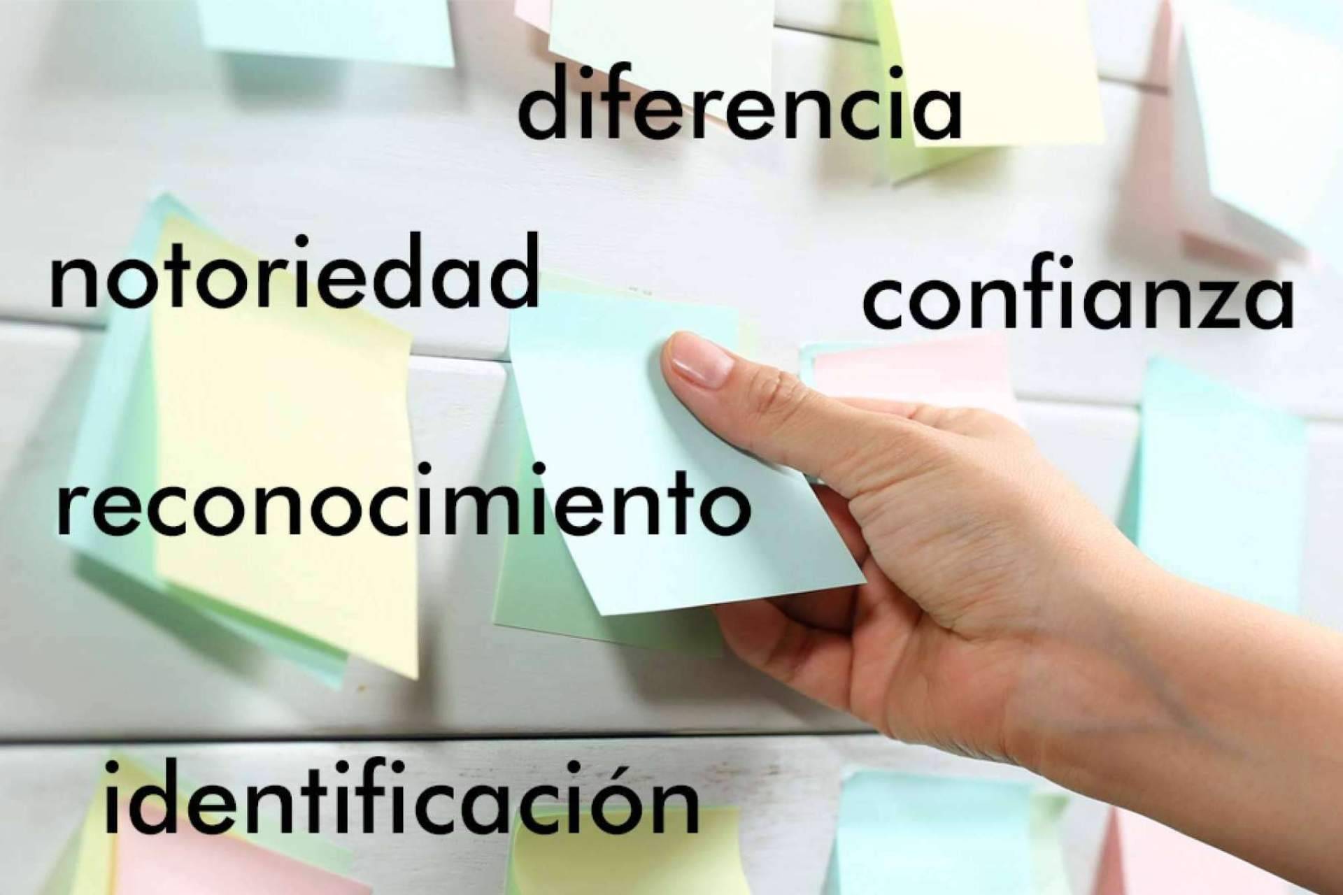 Expertos en creación de Naming, con adn studio