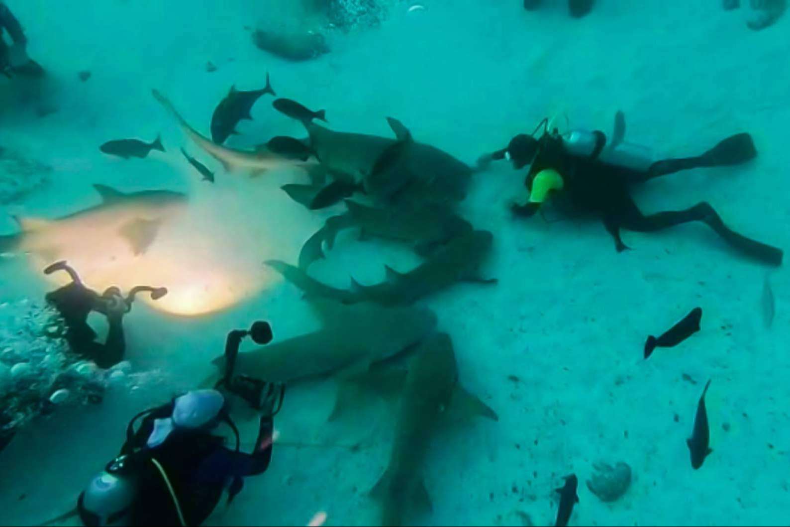 Escuela de buceo con españoles en el paraíso del buceo, con Drop Dive Maldives