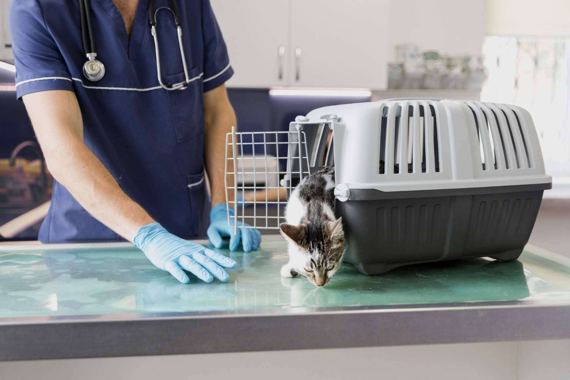 Clínica Veterinaria Olivares es una clínica veterinaria de confianza en Granada