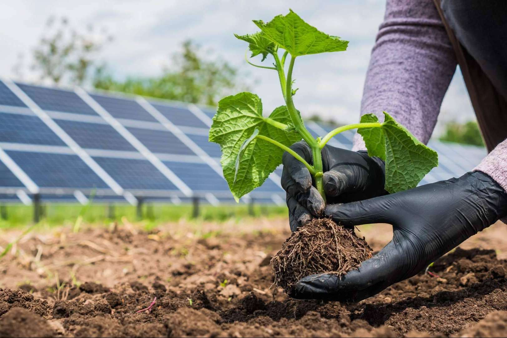 Impulsar las energías renovables y la sostenibilidad en Aragón, un objetivo de PVAI