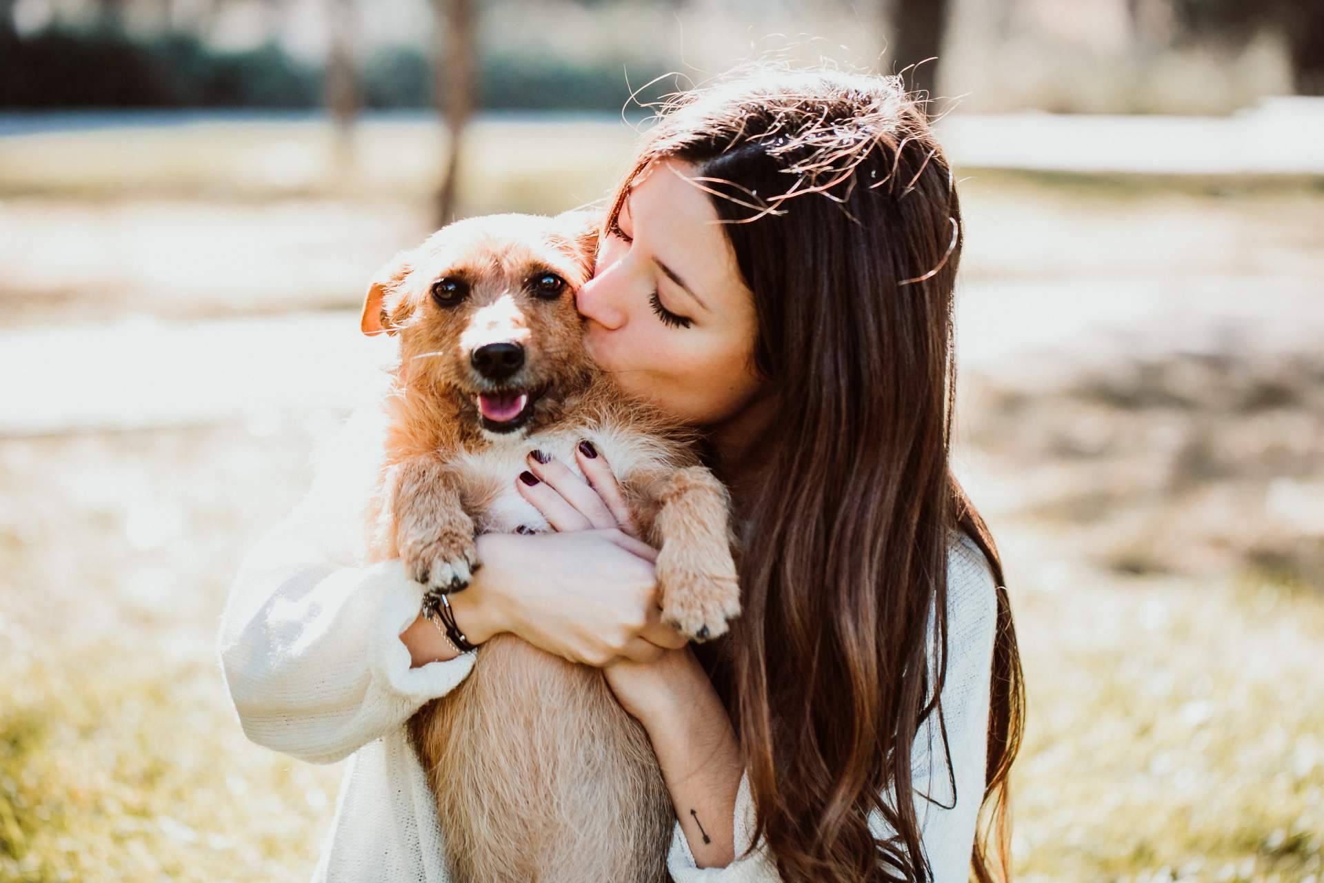 Amazdog, la aplicación que promueve la adopción de animales en España