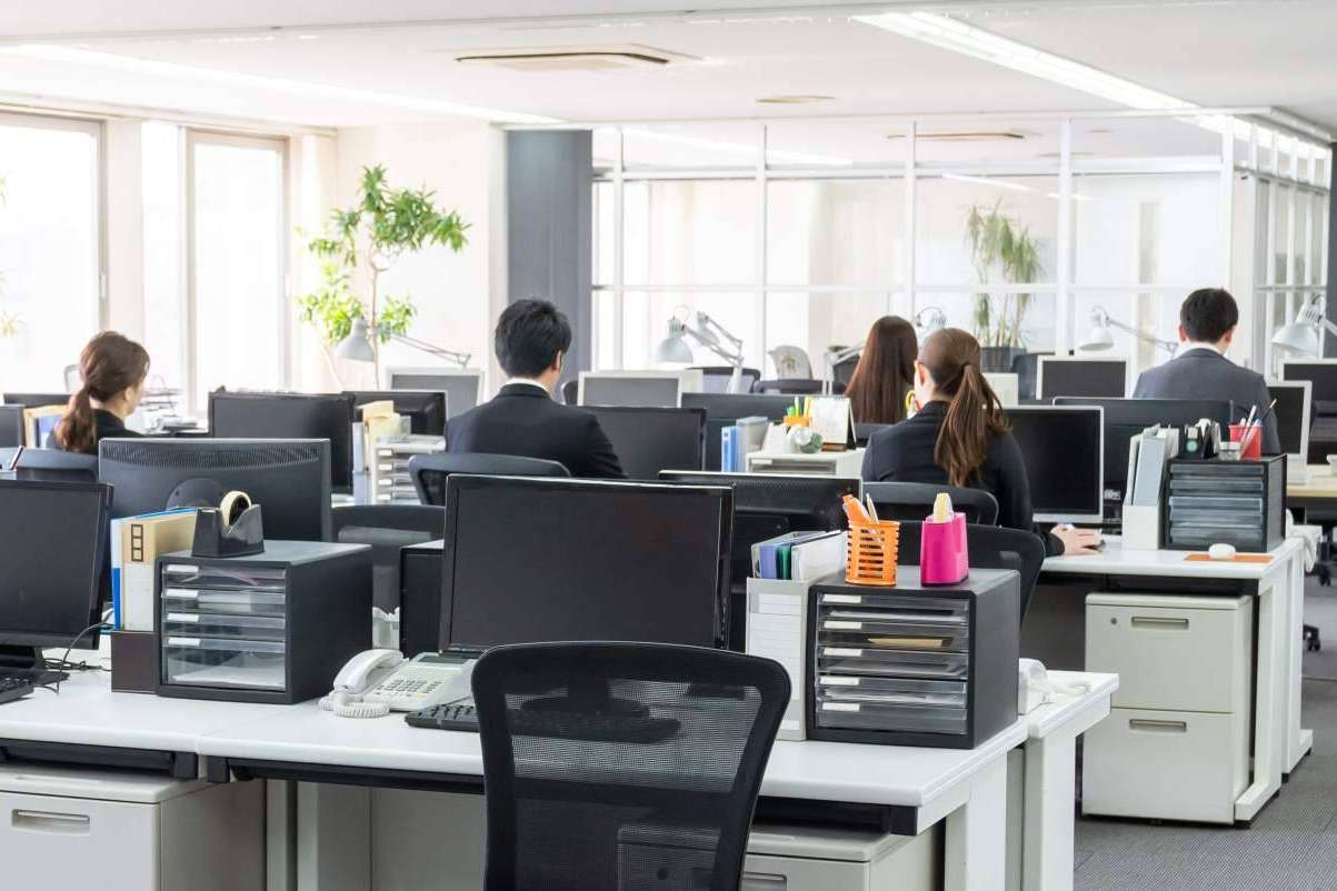 ¿Qué es el back office y cuál es su importancia en los trámites inmobiliarios?