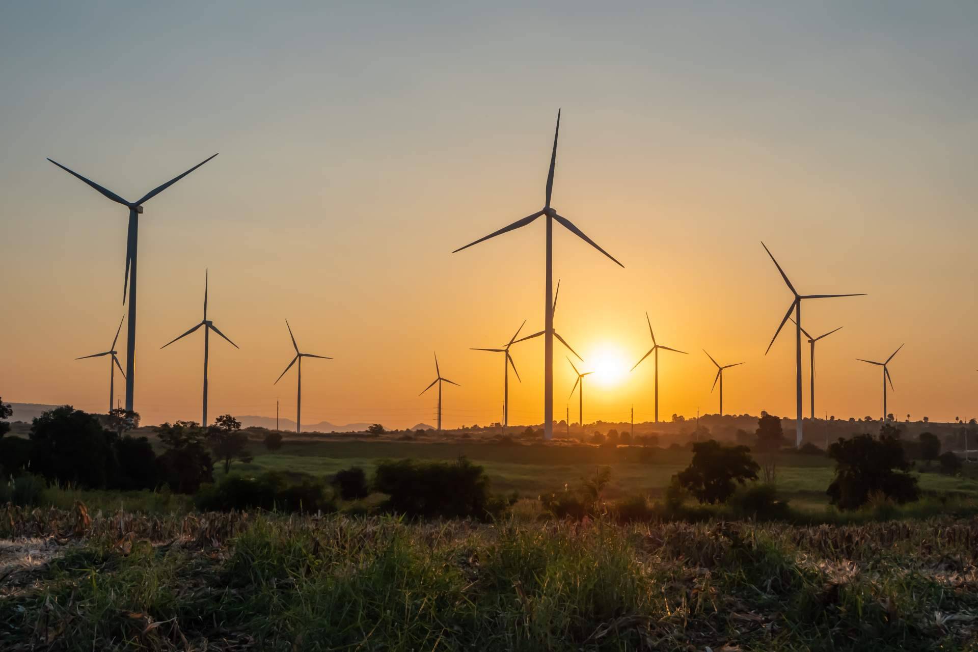 Los diferentes tipos de energías renovables, de la mano de PVAI
