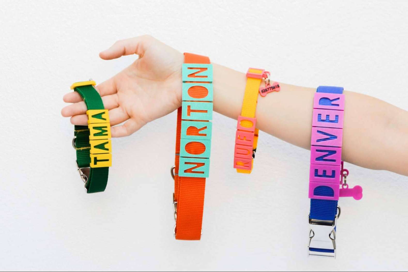 Los collares y chapas personalizadas de Seron permiten proteger a la mascota