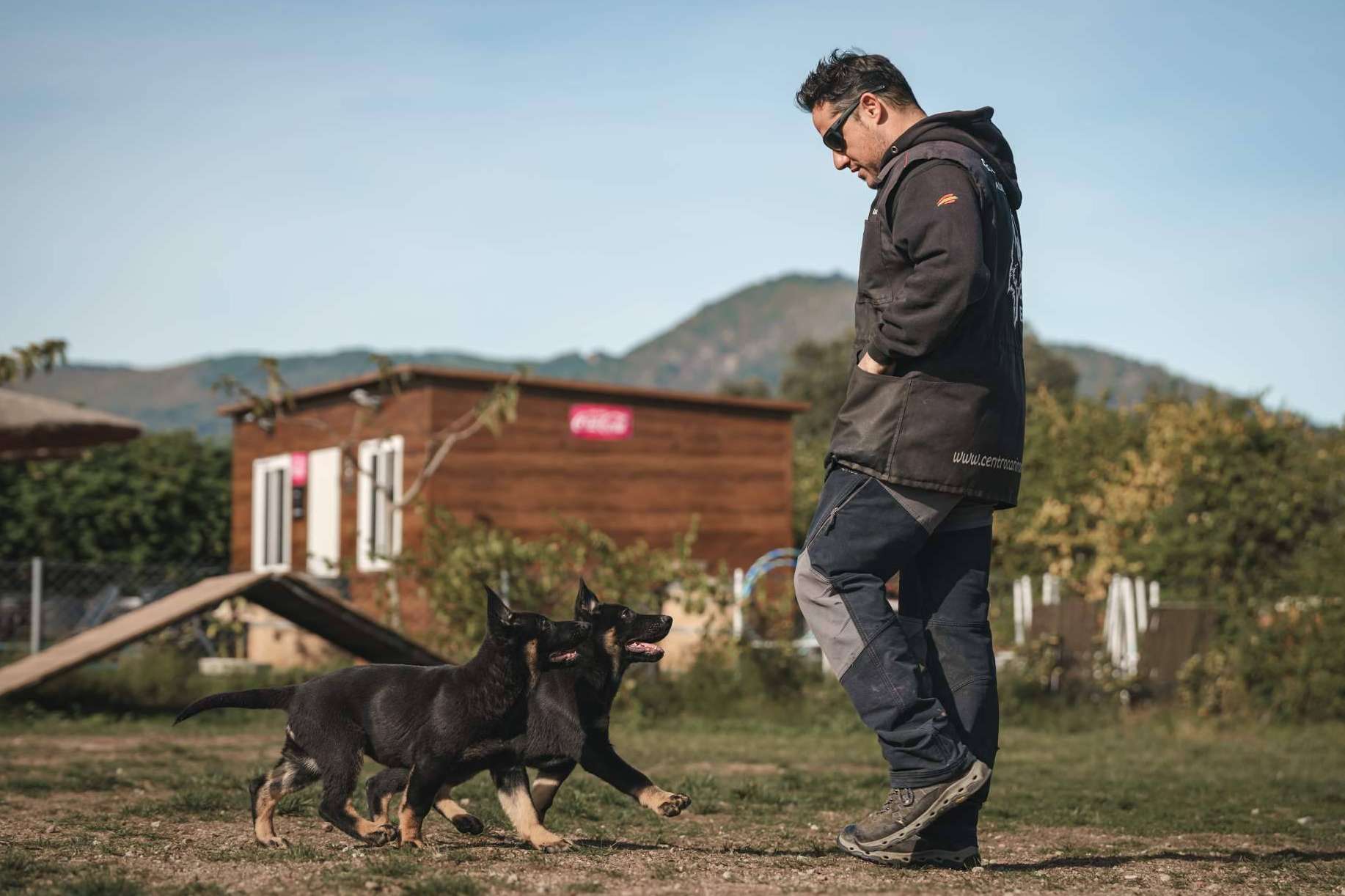 Curso de Adiestrador Canino Profesional, con la escuela de adiestramiento Monte Ida