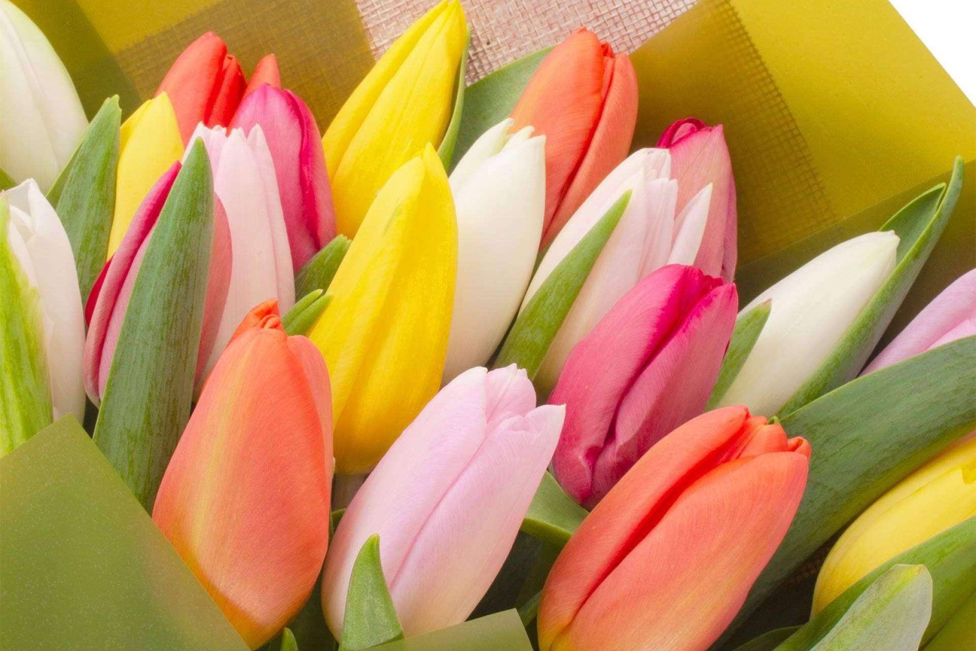 Una de las mejores opciones para enviar flores a domicilio en Las Condes, Rosalinda