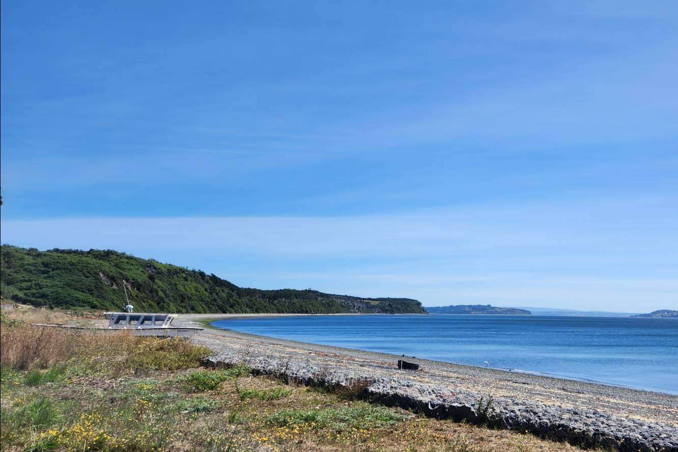 Innovación y naturaleza. Latitudes Australes está redefiniendo el mercado de parcelas en el sur de Chile