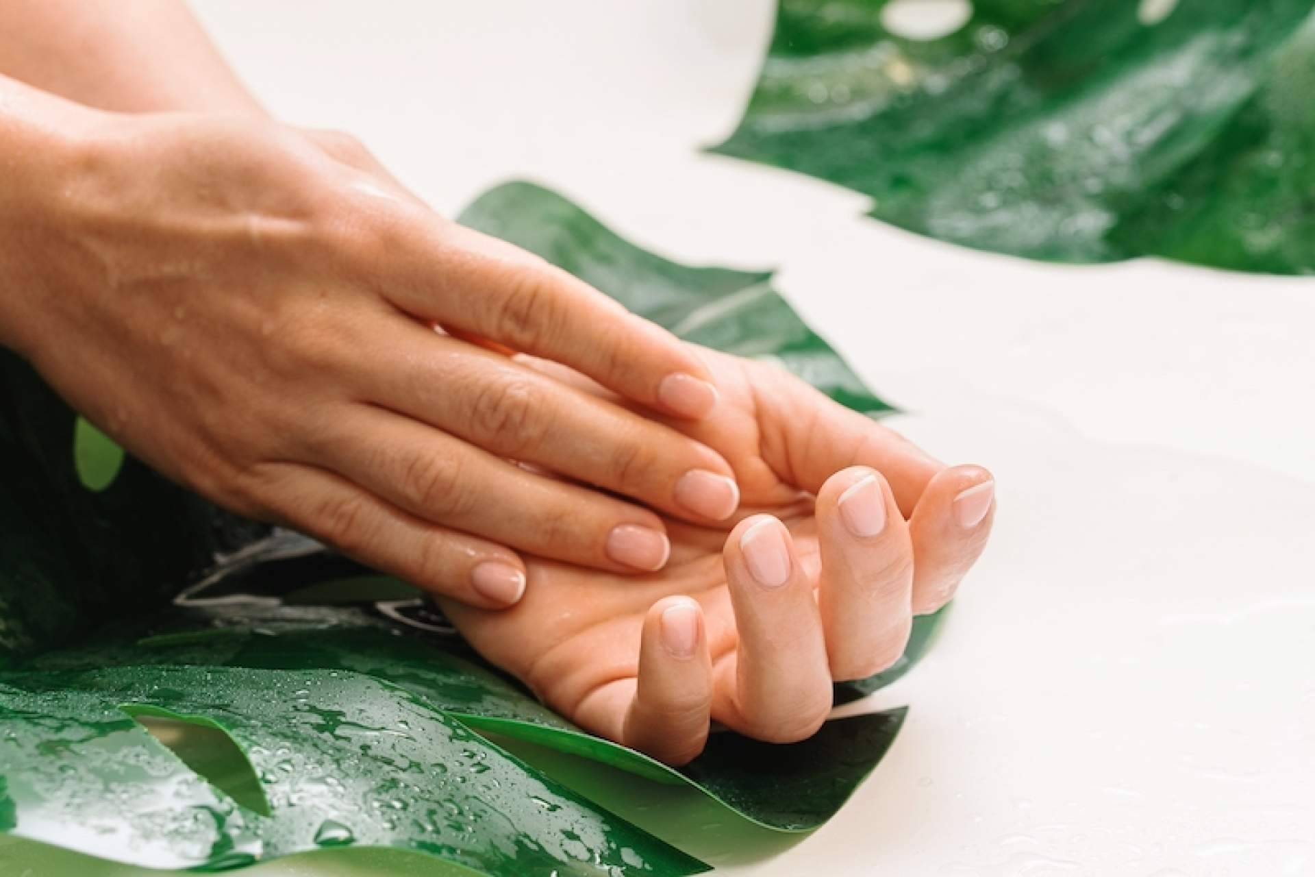 Mascarilla hidratante vegana de calidad de salón de belleza para manos y pies; todas las ventajas que aporta