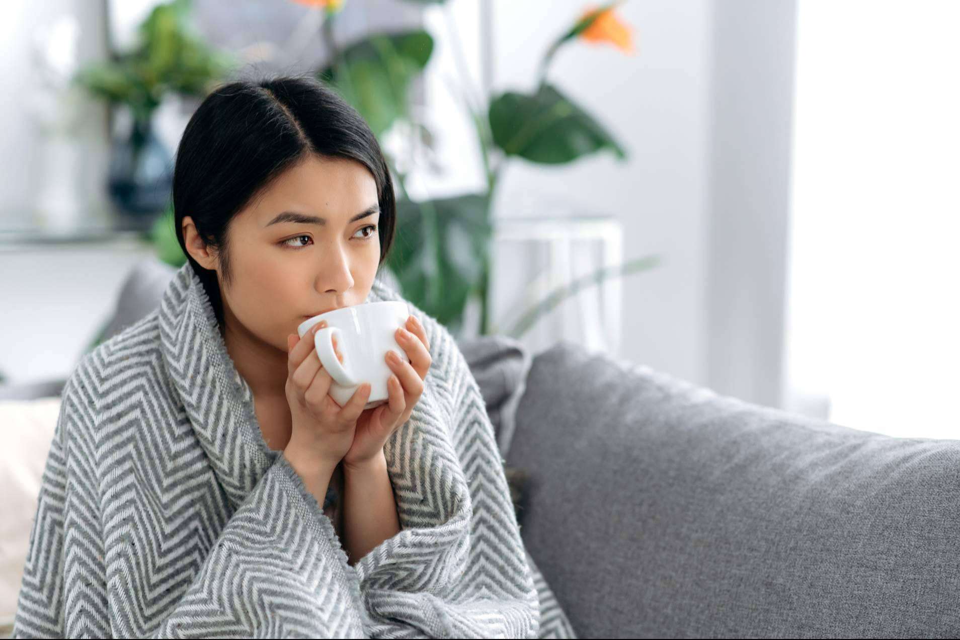 Disfrutar de los 12 beneficios del té verde con Bonísimo