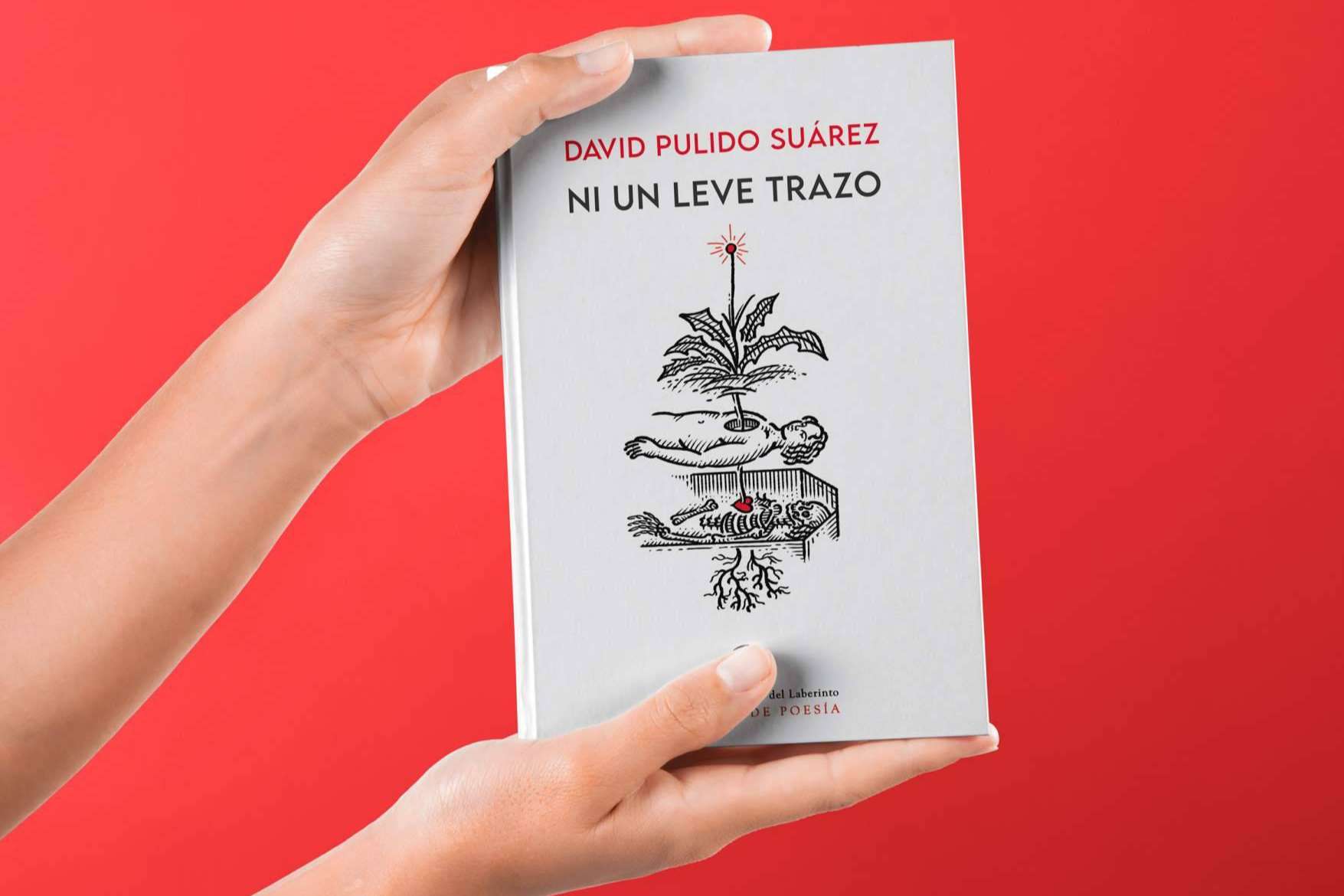 Regalar poesía sin equivocarse. ‘Ni un leve trazo’, de David Pulido, como recomendación literaria