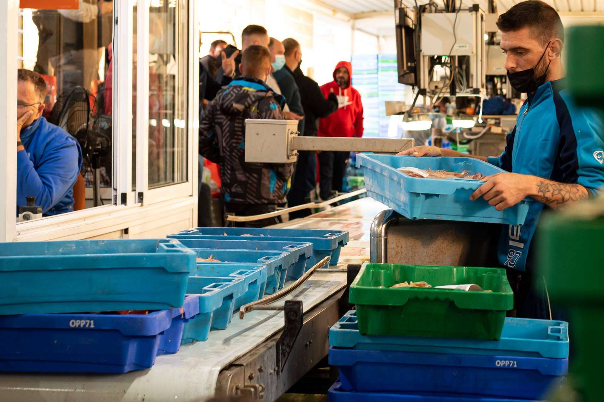Distribución de pescado y marisco fresco a toda España con el servicio de Lonja de Ayamonte