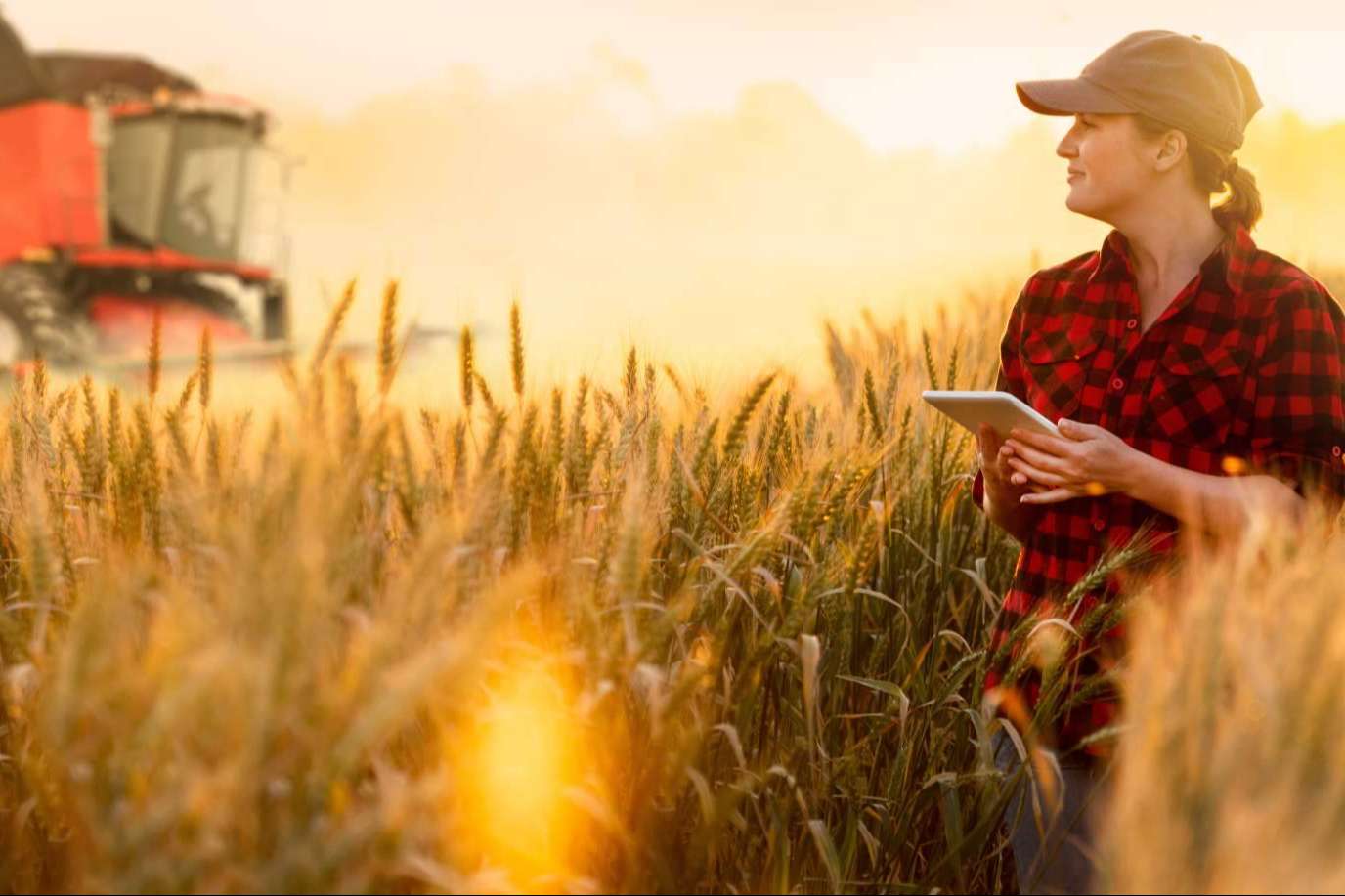 Cuadernos de explotación, soluciones específicas para el sector agropecuario con Certitec