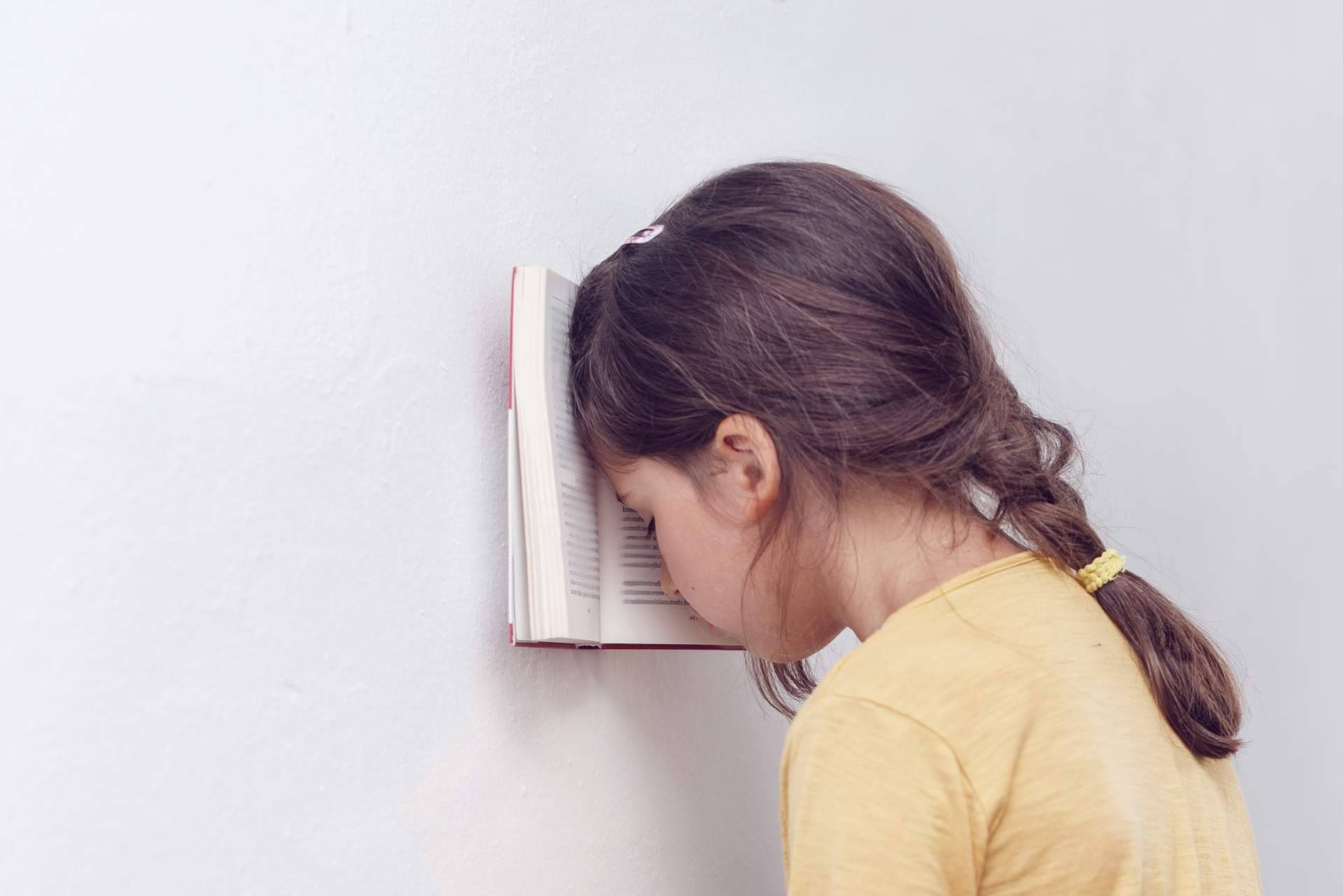 Propuestas de Asociación para la Defensa del Derecho a la Accesibilidad Web para mejorar las notas de niños con dislexia