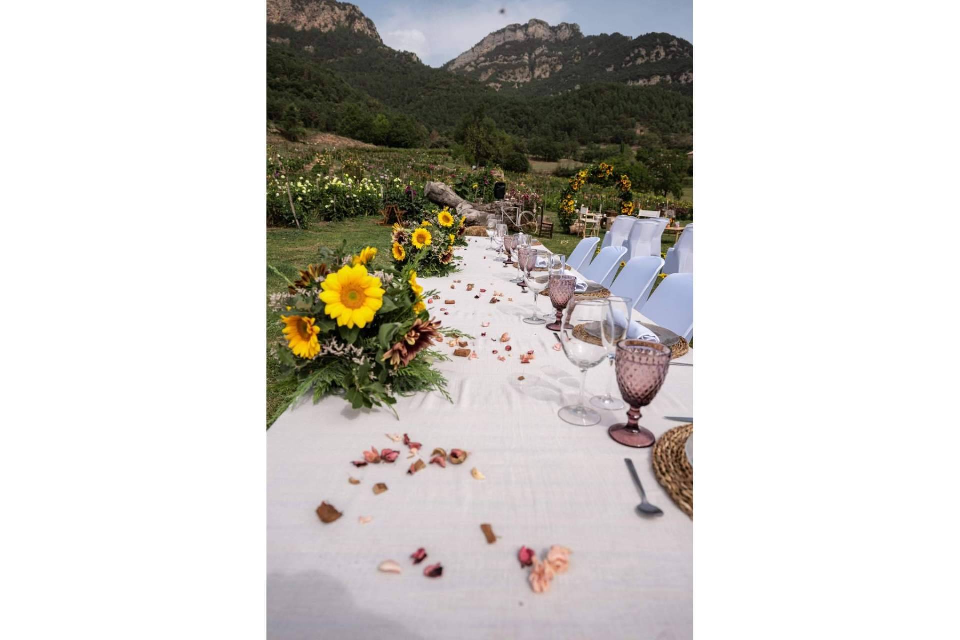 Celebrar una boda inolvidable al aire libre con Niudàlia