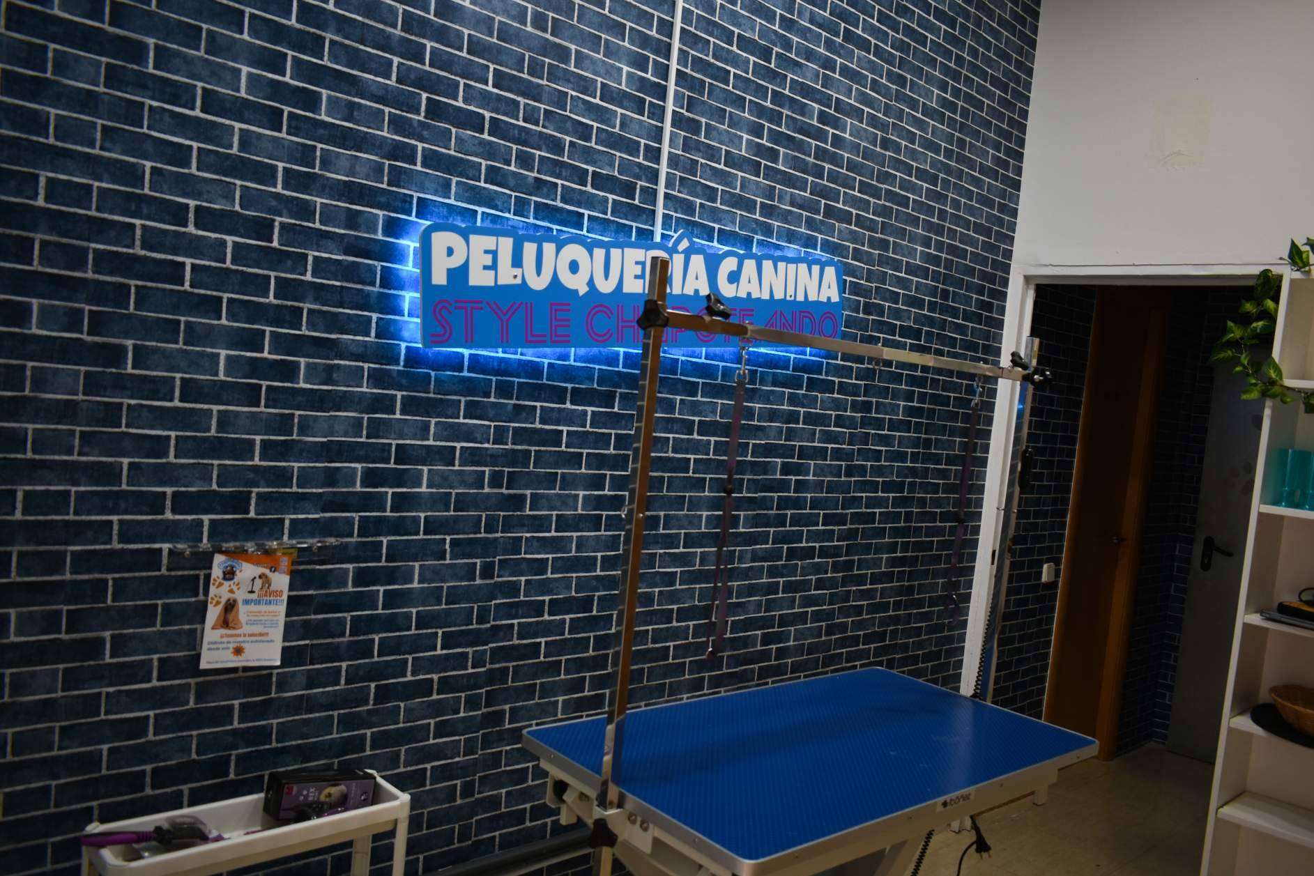 ¿Cuáles son las ventajas de las franquicias de peluquería canina de Chapoteando?