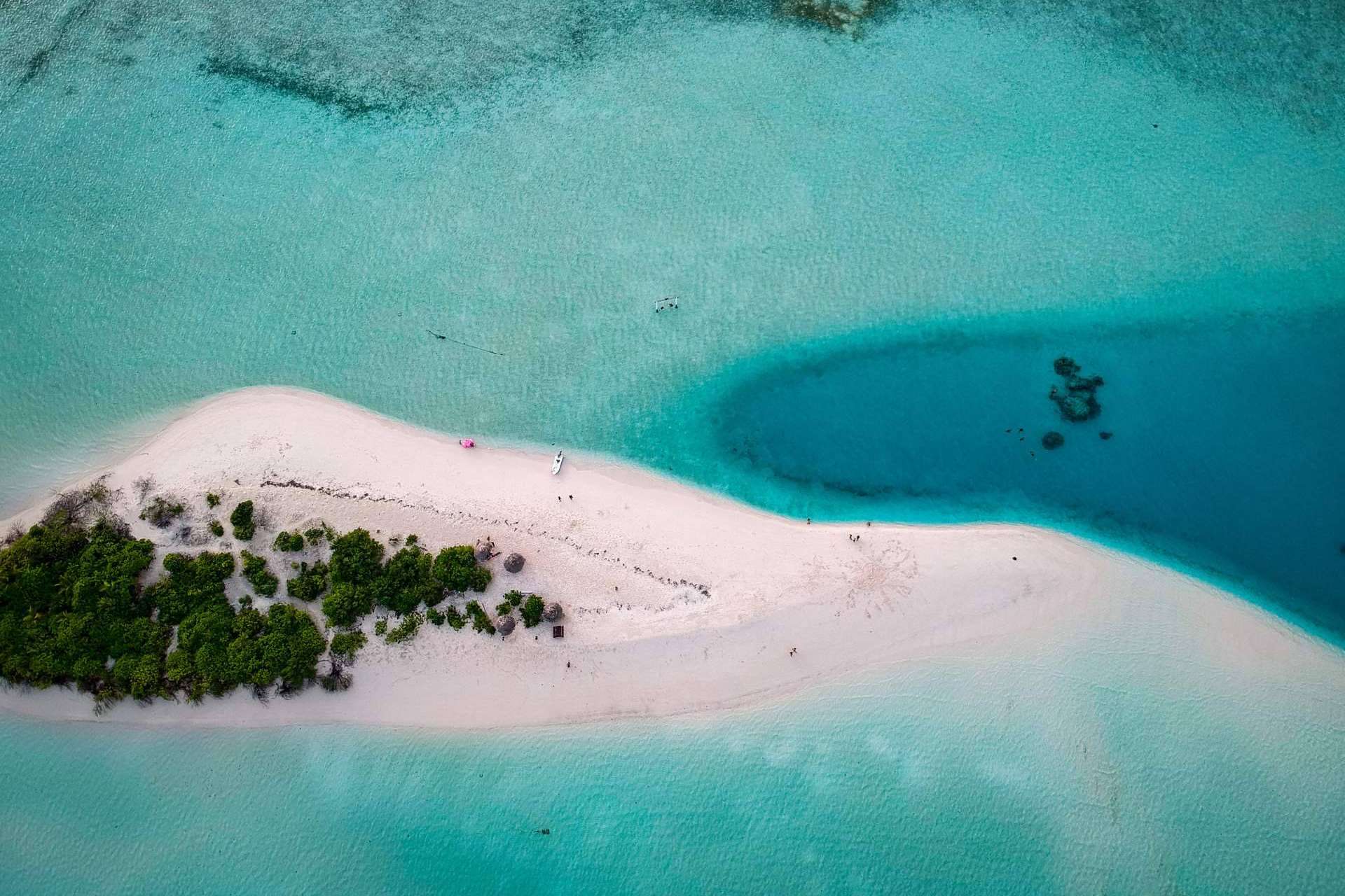Drop Dive Maldives pone a disposición la posibilidad de disfrutar de la isla de buceo Rasdhoo