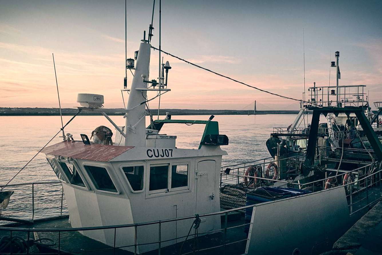 Lonja de Ayamonte ofrece frescura y calidad en venta de pescados y mariscos online