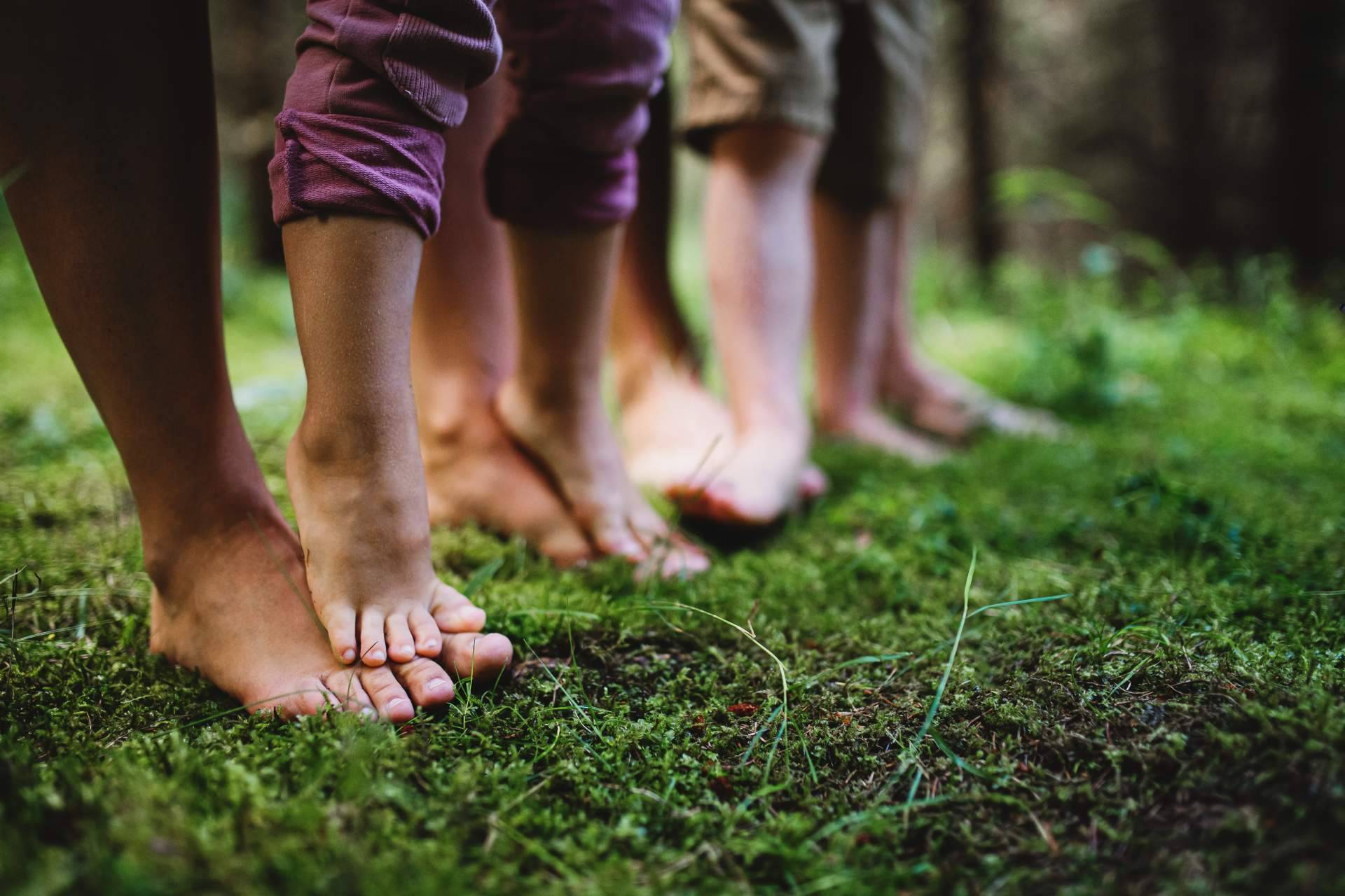 Baños de Bosque Madrid, una herramienta eficaz de salud y bienestar en el trabajo
