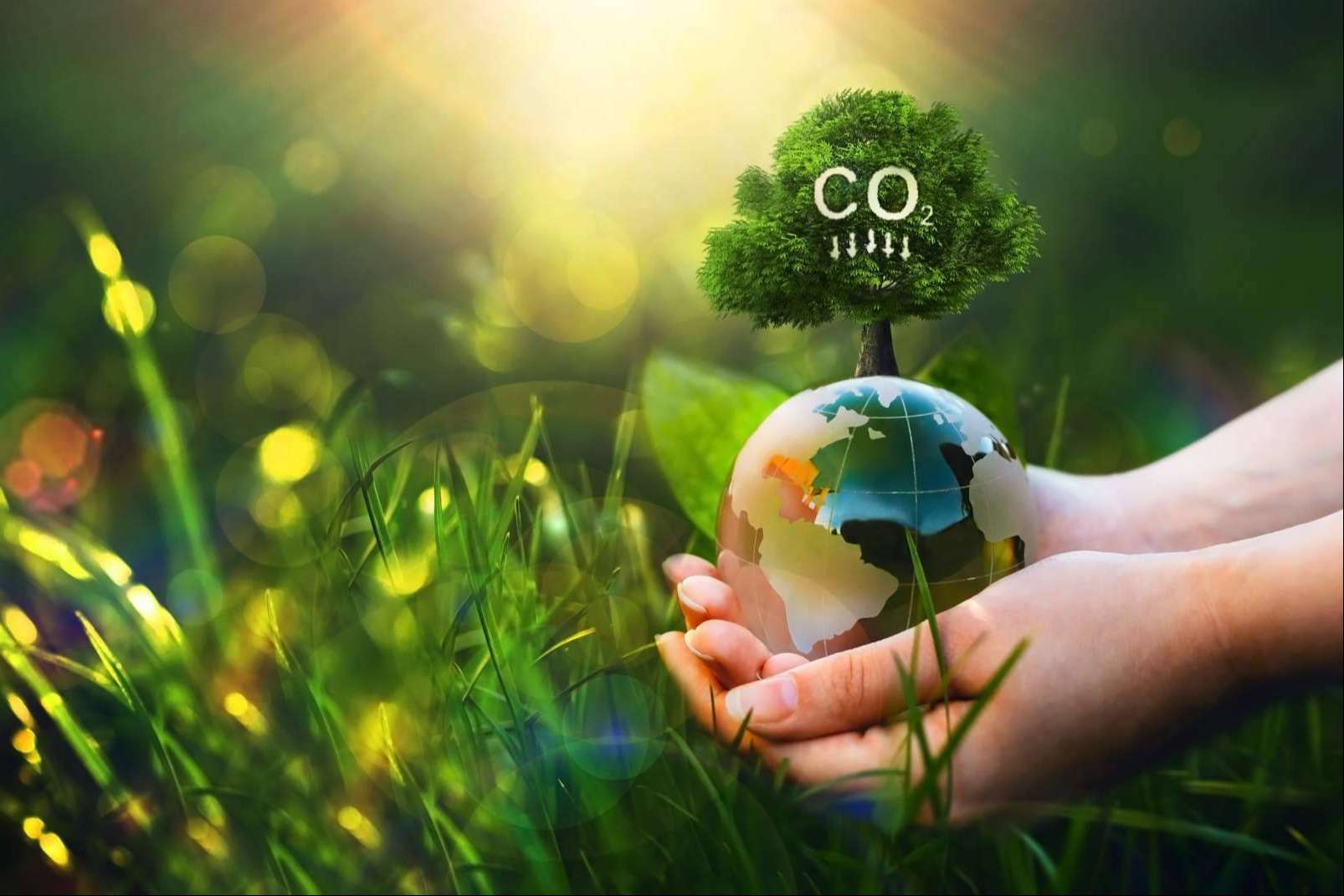Consultoría estratégica para reducir la huella de carbono en las empresas, de la mano de Ingade