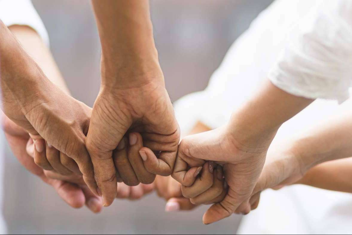 La red social que permite al voluntario interacciones con otros usuarios y con las entidades, Volungo