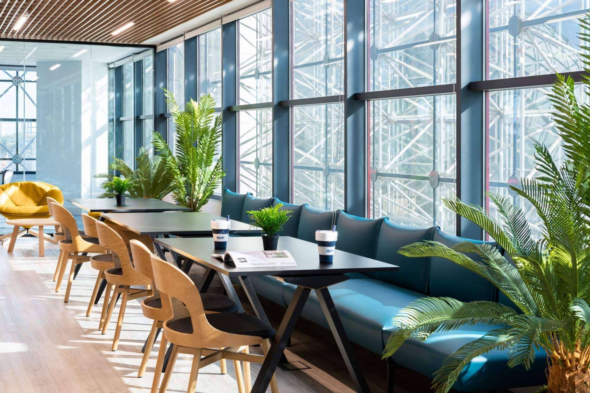 Diseño de oficinas con la aplicación de la certificación WELL con el sello Chavsa