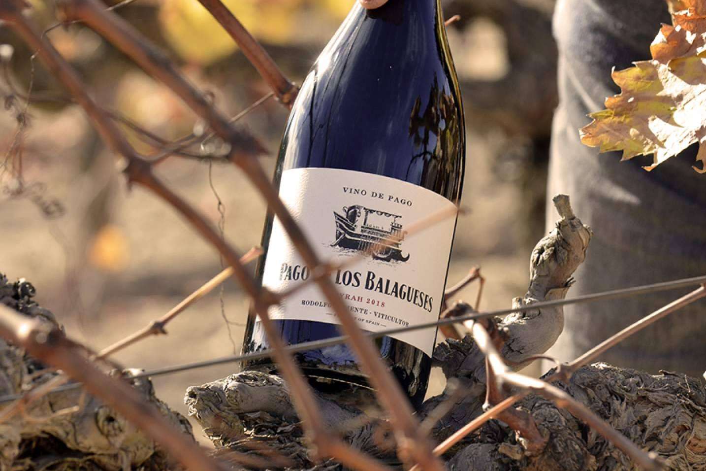 Vinos Vegalfaro, reconocidos y premiados internacionalmente