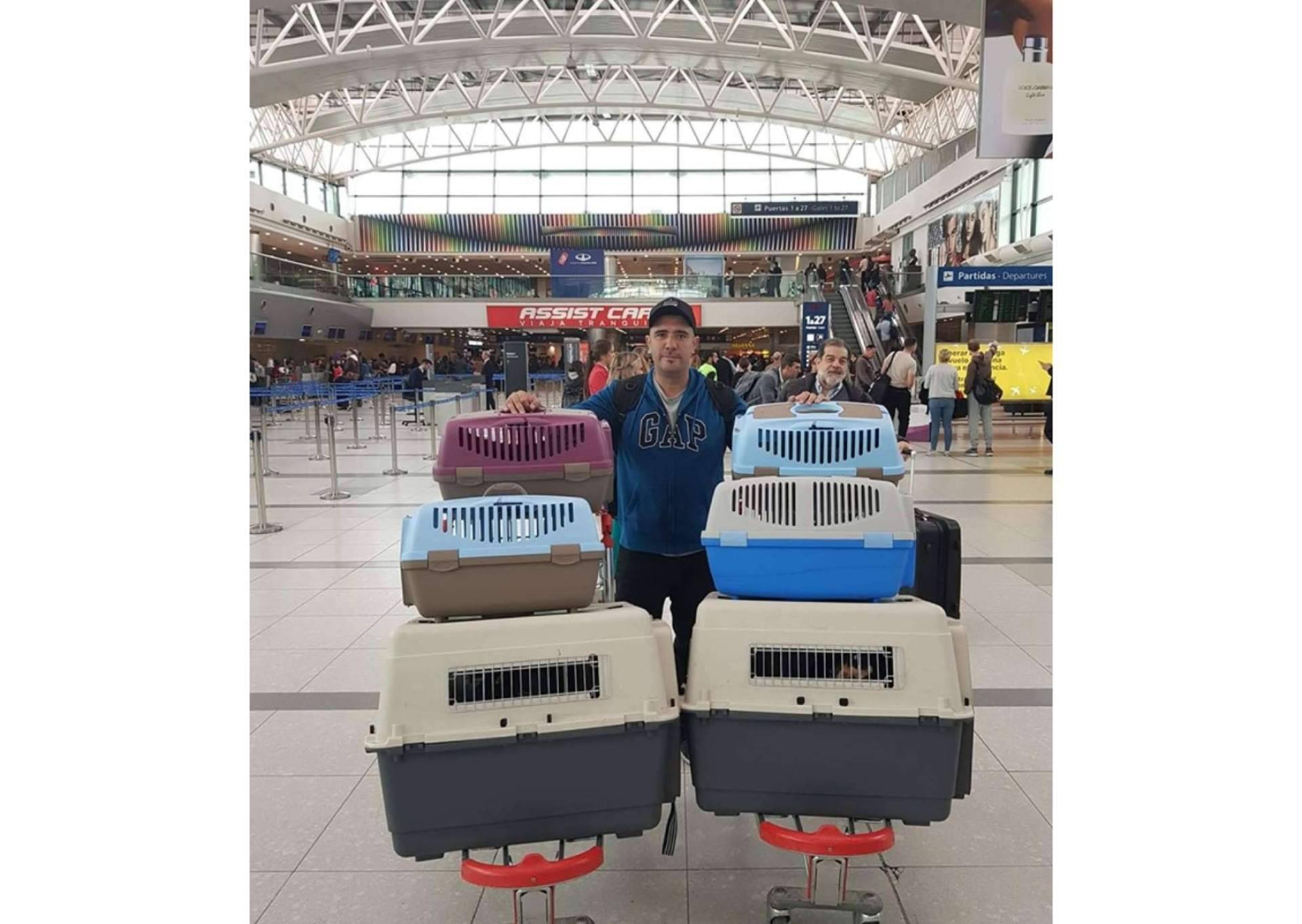 Pet World Travel, una gran solución para el transporte de mascotas a nivel nacional e internacional