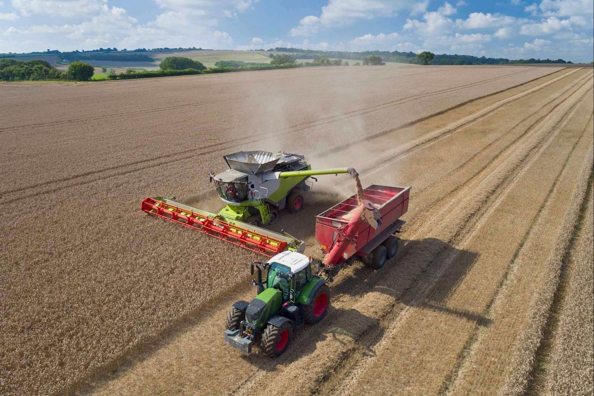Expertos gestionan la obtención del Certificado GlobalG.A.P. de buenas prácticas agrícolas