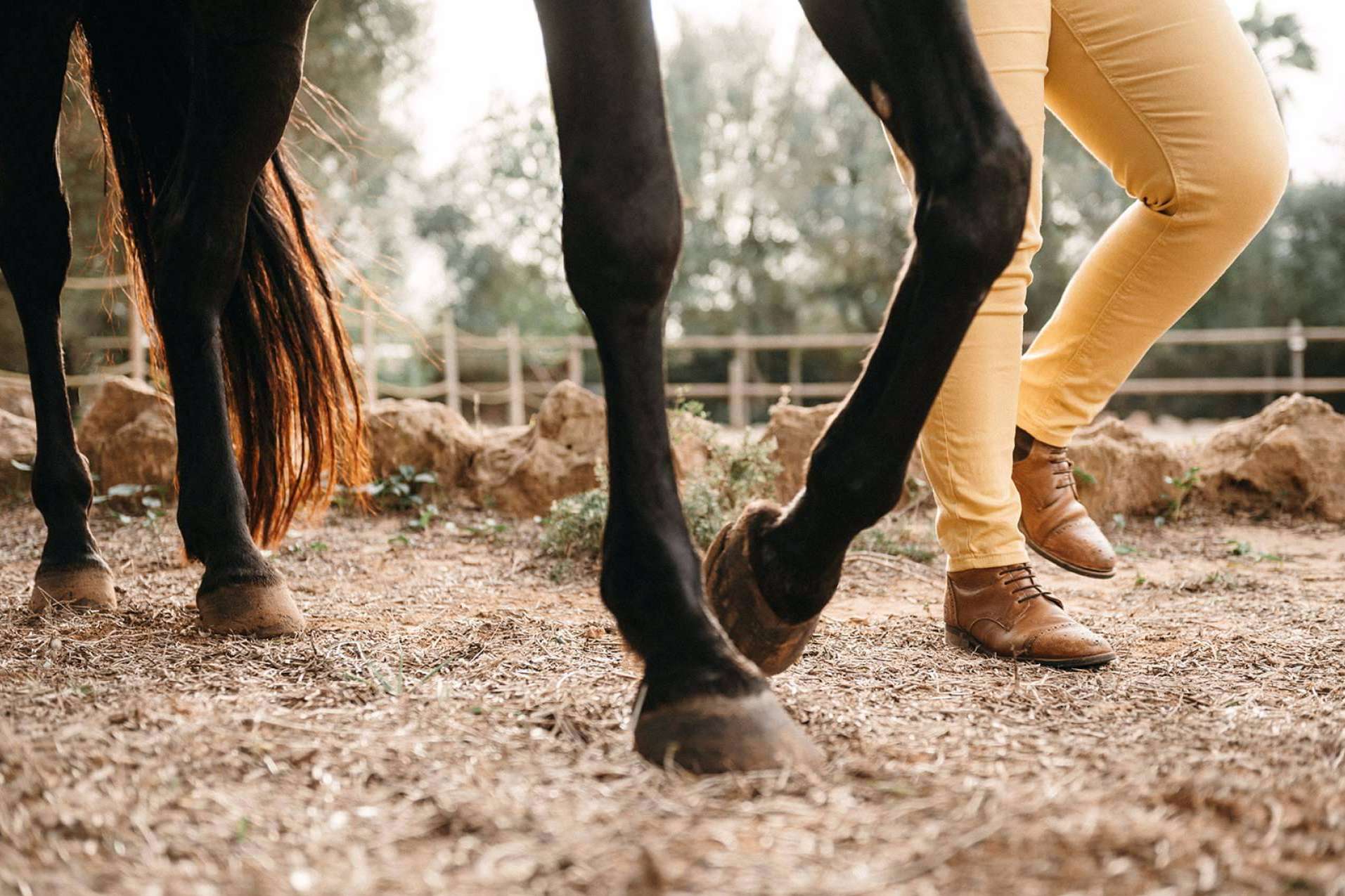 Desarrollo personal a medida, con Son Cavalls