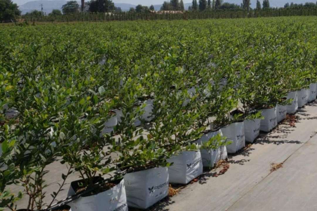La agricultura del futuro más cerca con la empresa Pelemix