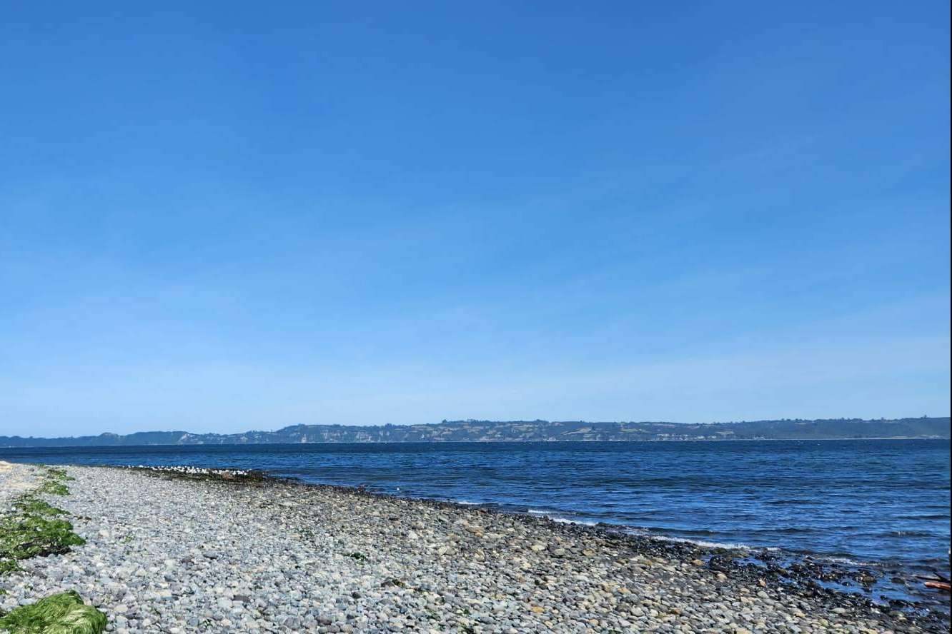 Planificación y asesoría con Latitudes Australes, la clave del éxito en la inversión de parcelas al sur de Chile