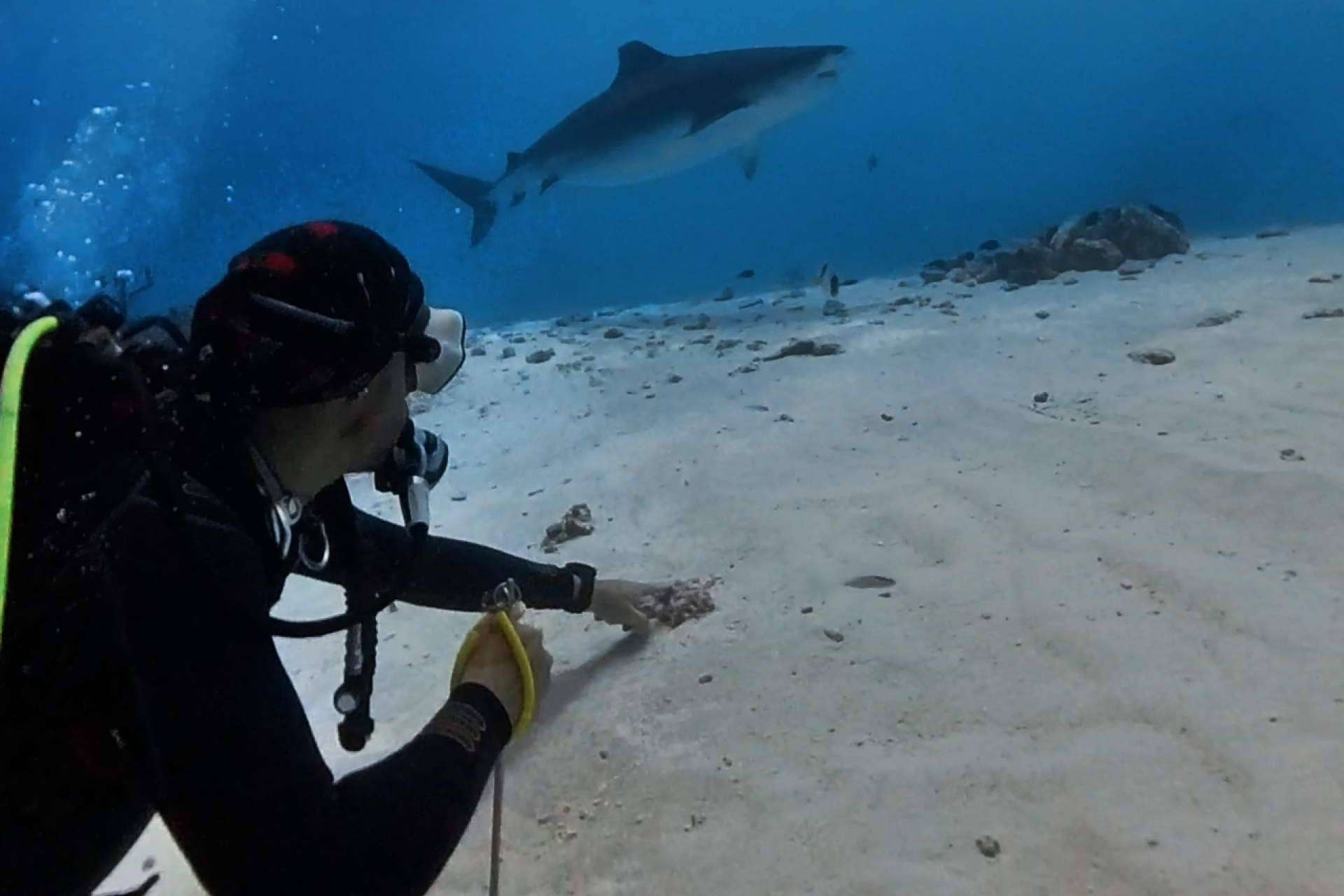 La apertura de un nuevo centro de buceo en Fuvahmulah de Drop Dive Maldives
