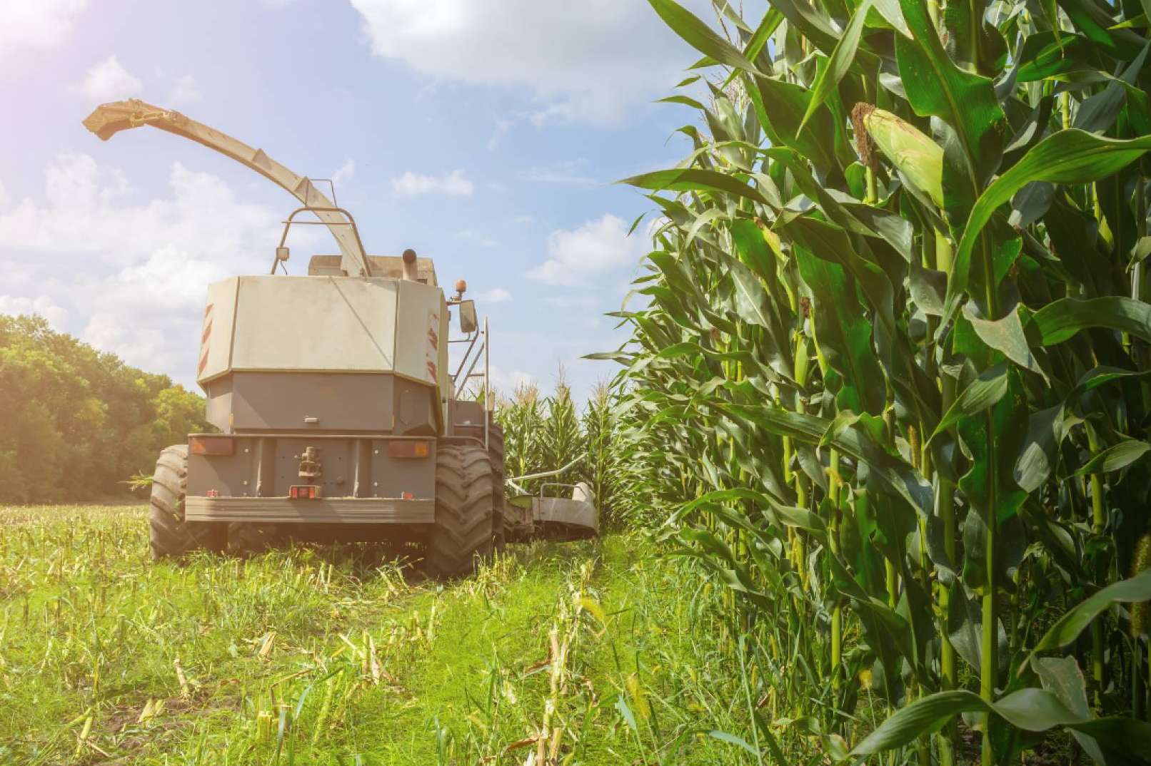 Contratar seguros para maquinaria agrícola con Ucoga