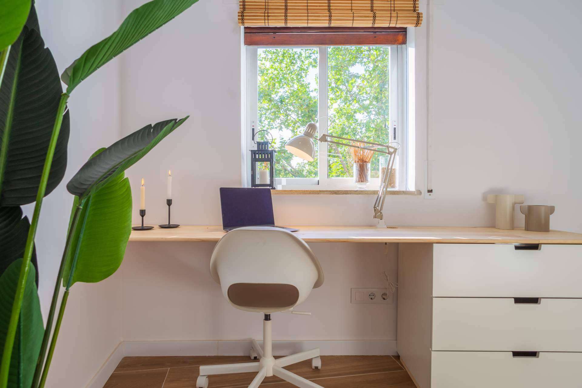 Haaus Coliving, una de las startups de coliving de referencia en España
