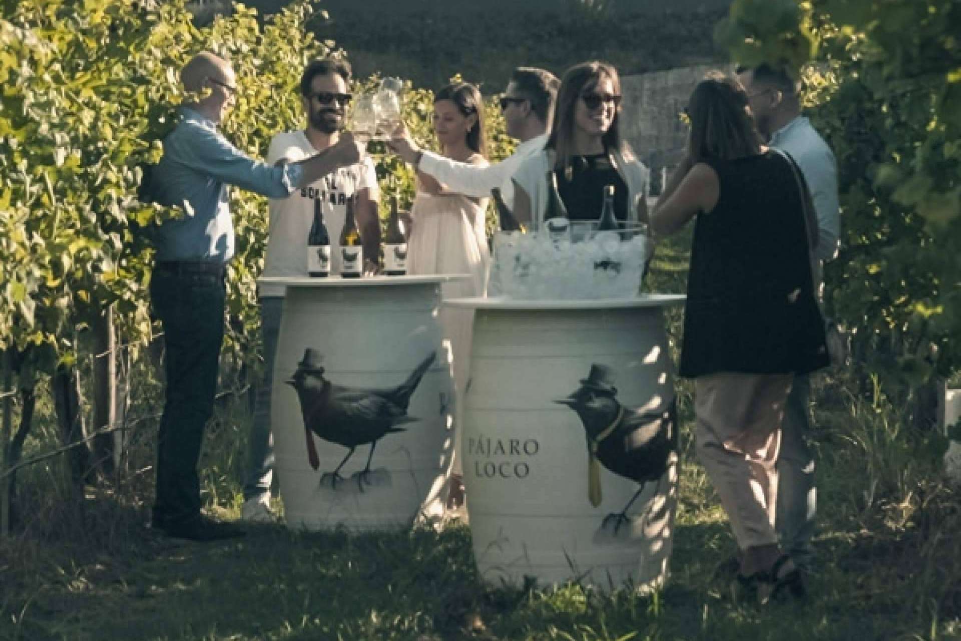 Producción de vinos blancos y tintos con Privios, una marca vitivinícola exclusiva