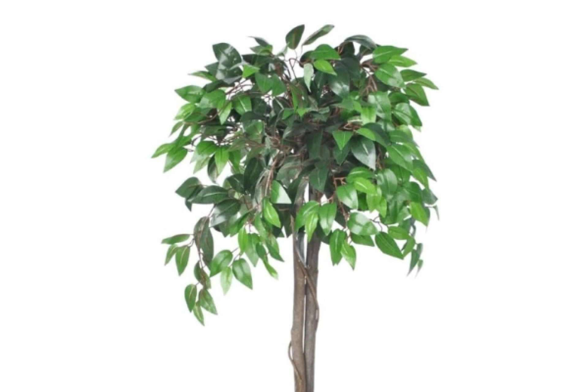 Herramientas sencillas para crear ambientes mágicos en casa con Mi Hogar