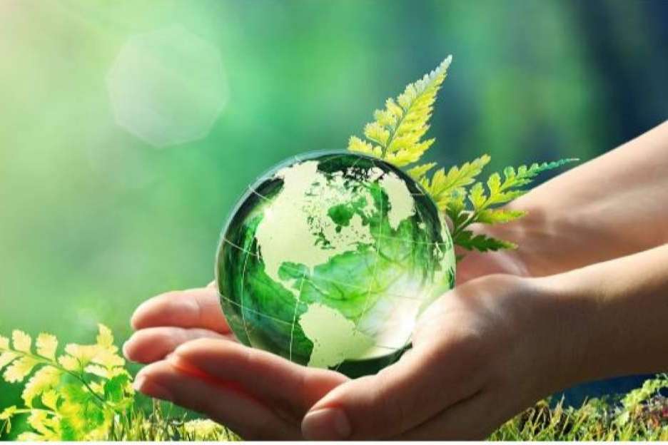 New Tech Store, una compañía que apuesta por la sostenibilidad y las tecnologías verdes