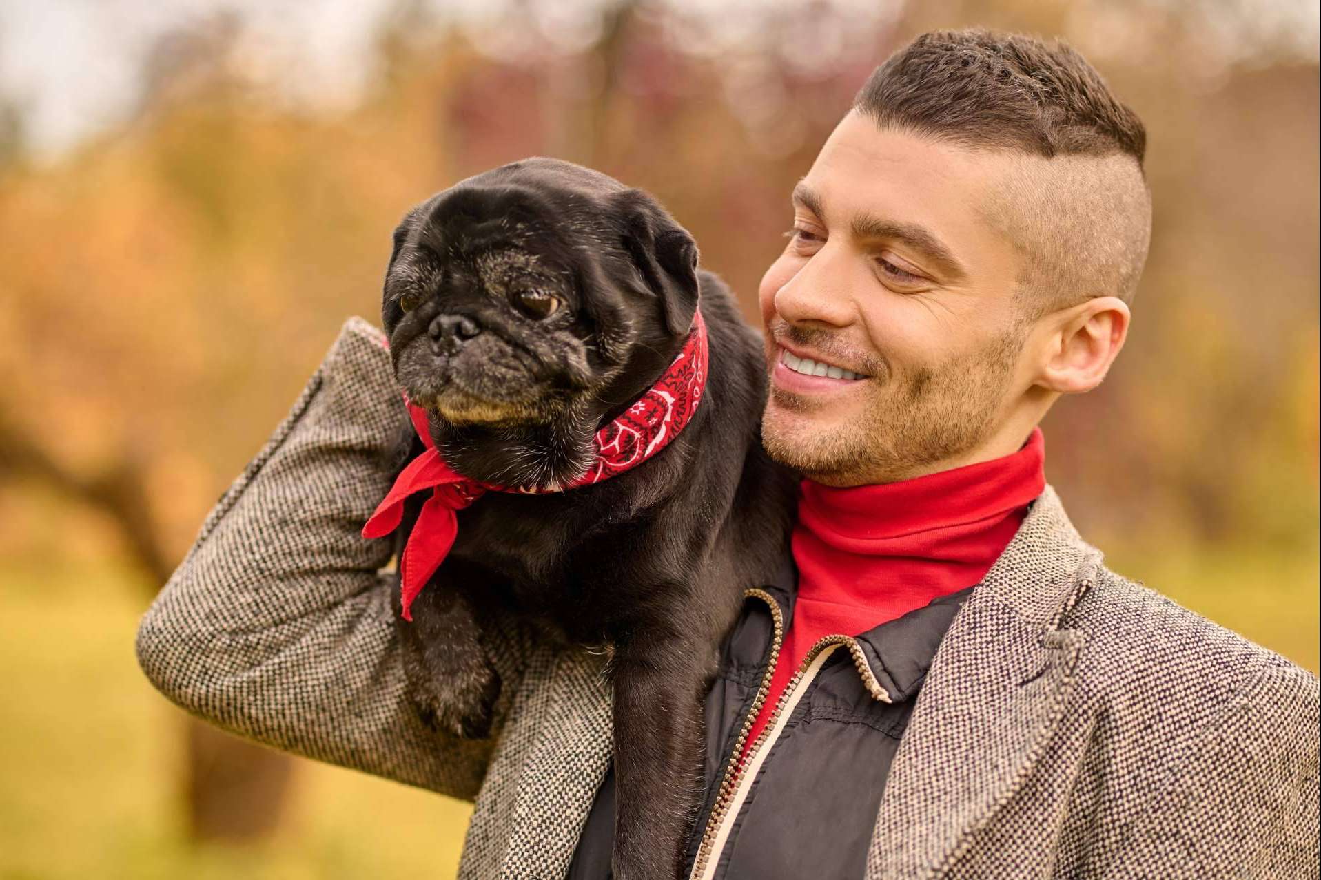 Mascotas Adopción, la web donde publicar y encontrar mascotas en adopción